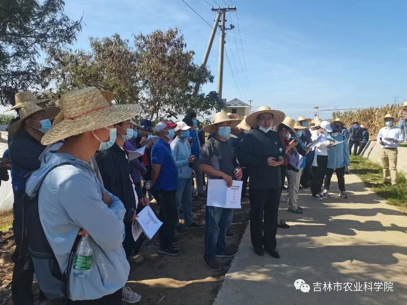 市農(nóng)科院科研人員參加海南“生物育種品種觀摩與技術交流”研讨會(huì)